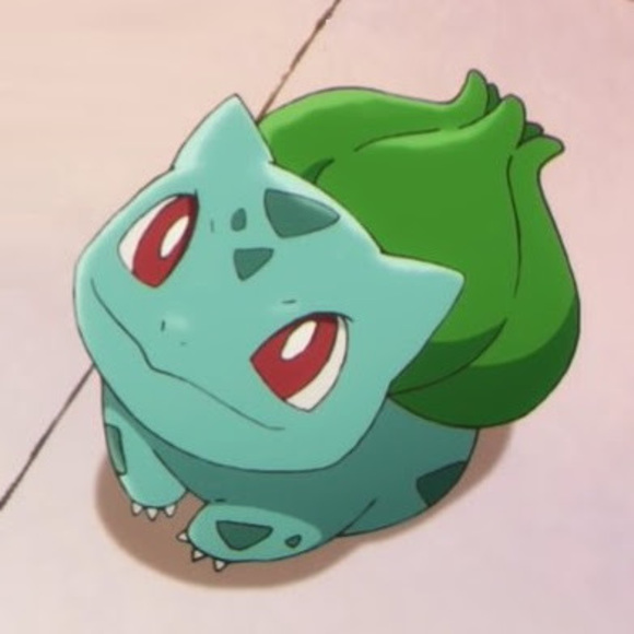 Meet your Posher, Sunny - Picture 1 of 1